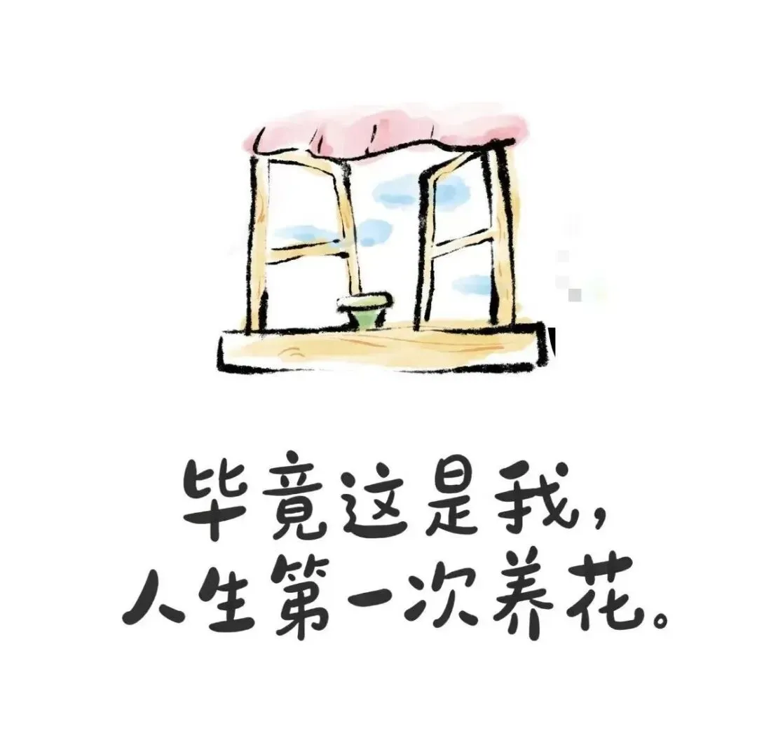高考出分后,都请做个体面人!-第5张图片-四季读书网