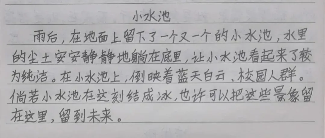 初三 第三周-第3张图片-四季读书网 初三 第三周-第3张图片-四季读书网