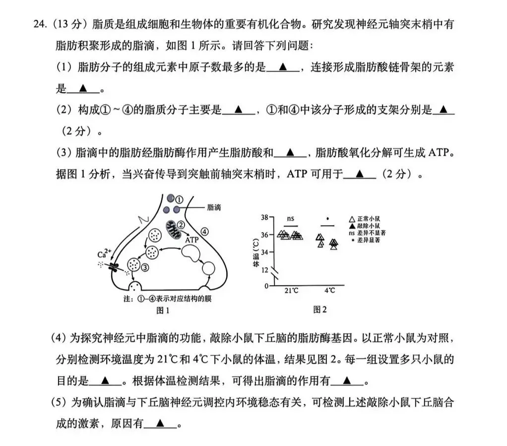 2026年江苏省高考生物解答题第24题-第1张图片-四季读书网