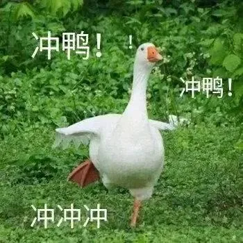 还有9天高考!这10位同学,却已考上大学……-第19张图片-四季读书网