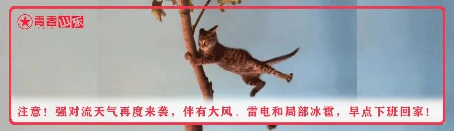 还有9天高考!这10位同学,却已考上大学……-第27张图片-四季读书网