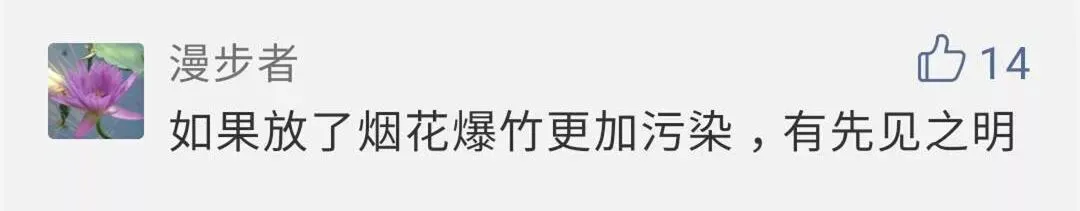 男子初一零时放鞭炮被罚!柳州禁放炮成效怎样?网友这么说…-第8张图片-四季读书网 男子初一零时放鞭炮被罚!柳州禁放炮成效怎样?网友这么说…-第8张图片-四季读书网