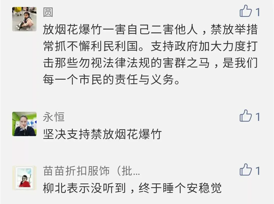 男子初一零时放鞭炮被罚!柳州禁放炮成效怎样?网友这么说…-第11张图片-四季读书网 男子初一零时放鞭炮被罚!柳州禁放炮成效怎样?网友这么说…-第11张图片-四季读书网