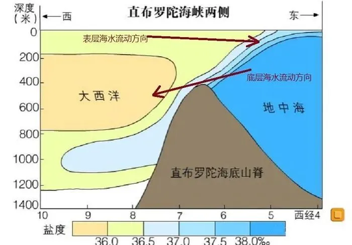 高考地理中的密度流-第4张图片-四季读书网
