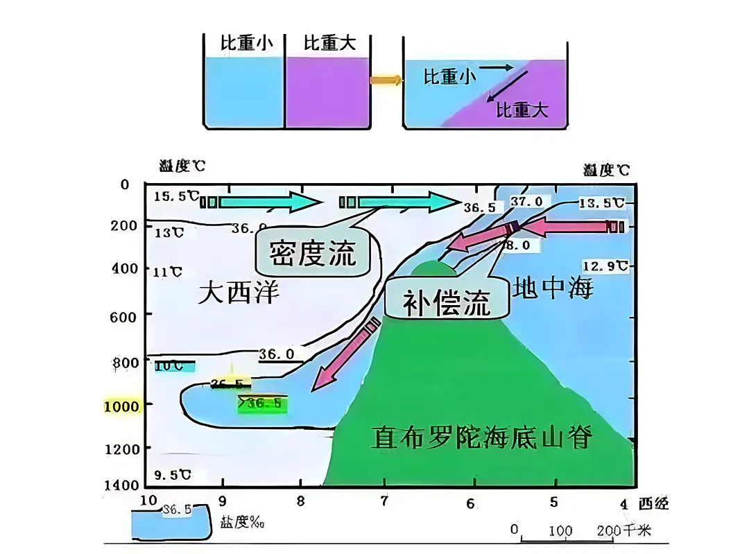 高考地理中的密度流-第6张图片-四季读书网