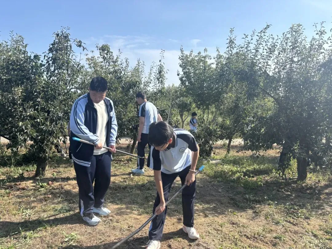 研学励心志,实践促成长——西苑学校初三学子综合实践基地研学活动纪实-第85张图片-四季读书网