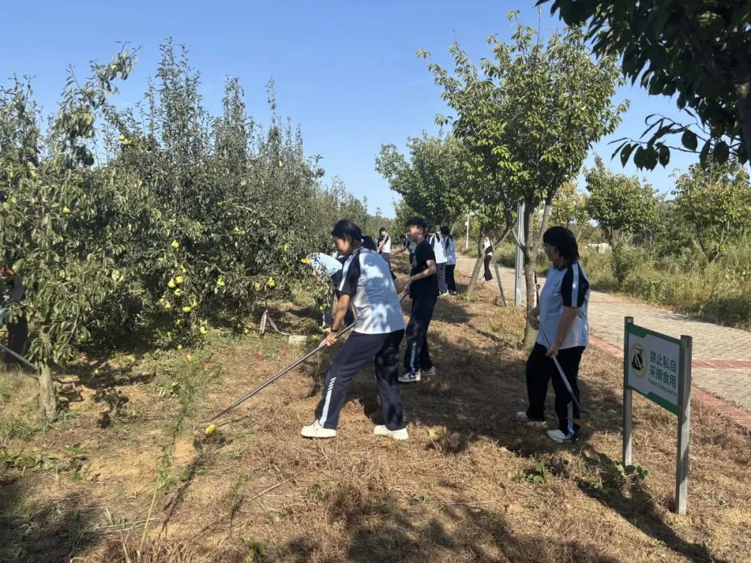 研学励心志,实践促成长——西苑学校初三学子综合实践基地研学活动纪实-第86张图片-四季读书网