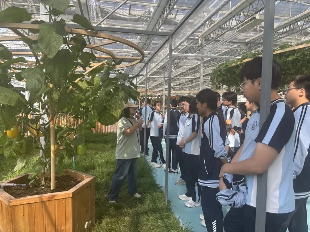 研学励心志,实践促成长——西苑学校初三学子综合实践基地研学活动纪实-第95张图片-四季读书网
