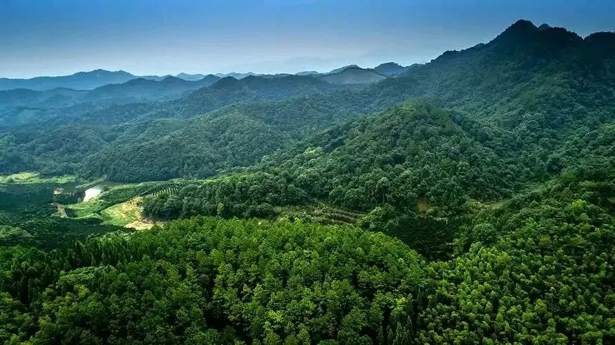 高考地理中的植被类型-第6张图片-四季读书网 高考地理中的植被类型-第6张图片-四季读书网
