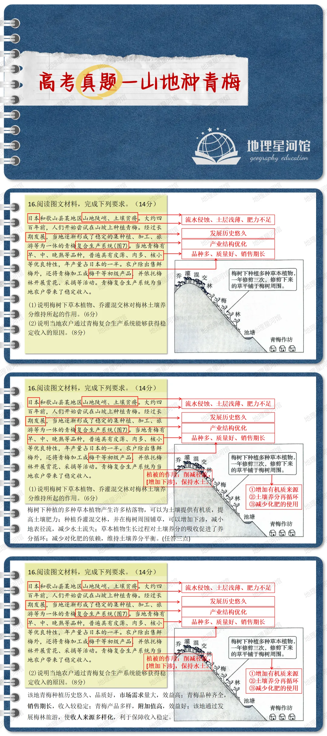 高考真题-山坡种青梅-第3张图片-四季读书网