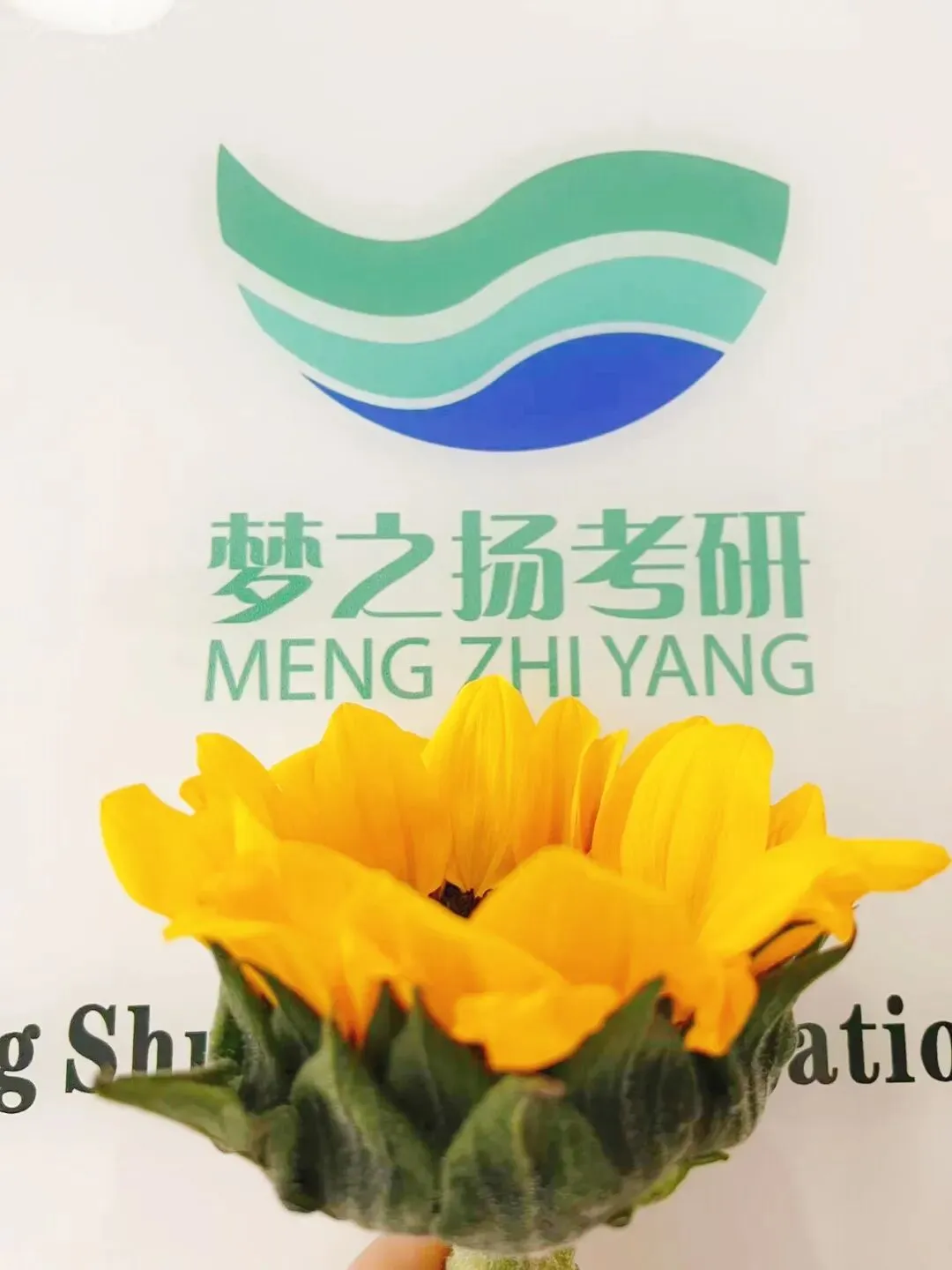 27版陕师大716与816真题合集+全套背诵宝典笔记减60!-第3张图片-四季读书网