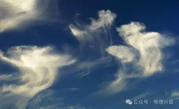 高考地理小专题——雨幡-第3张图片-四季读书网 高考地理小专题——雨幡-第3张图片-四季读书网