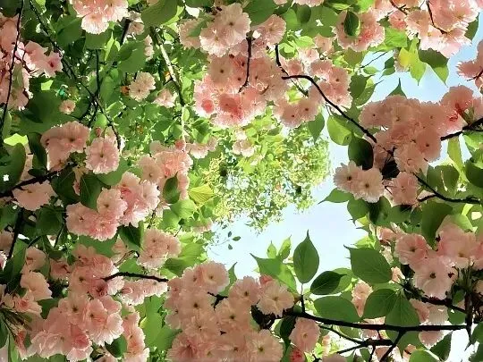 “线索” | 升初二年级(下集)-第16张图片-四季读书网