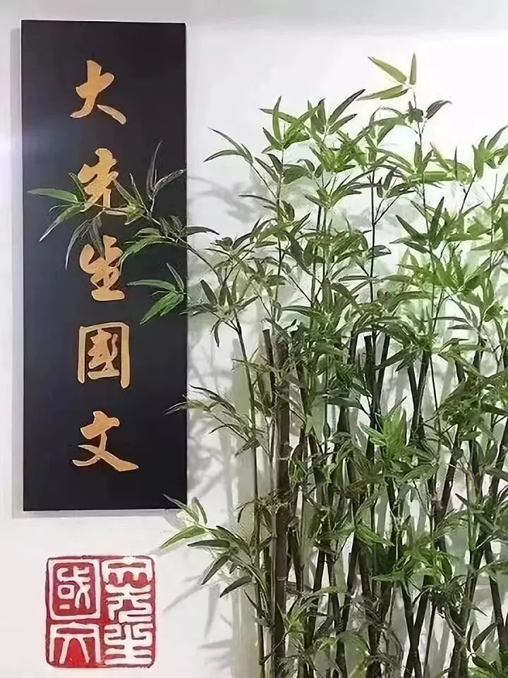“线索” | 升初二年级(下集)-第18张图片-四季读书网
