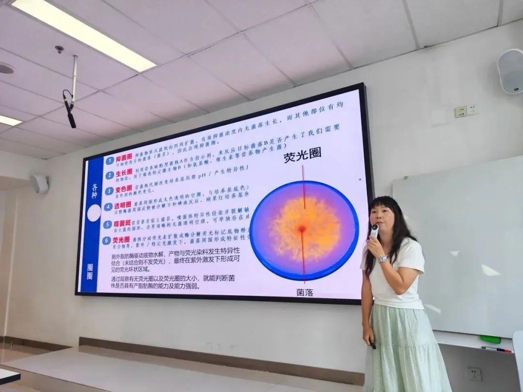 【智教慧学】集智研讨赋能新高考,精准施策共探新路向——两江新区高三一轮复习优效备考研讨会圆满举行-第27张图片-四季读书网