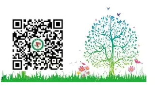 奋斗中学英语组举行高考备考经验分享教研活动-第6张图片-四季读书网