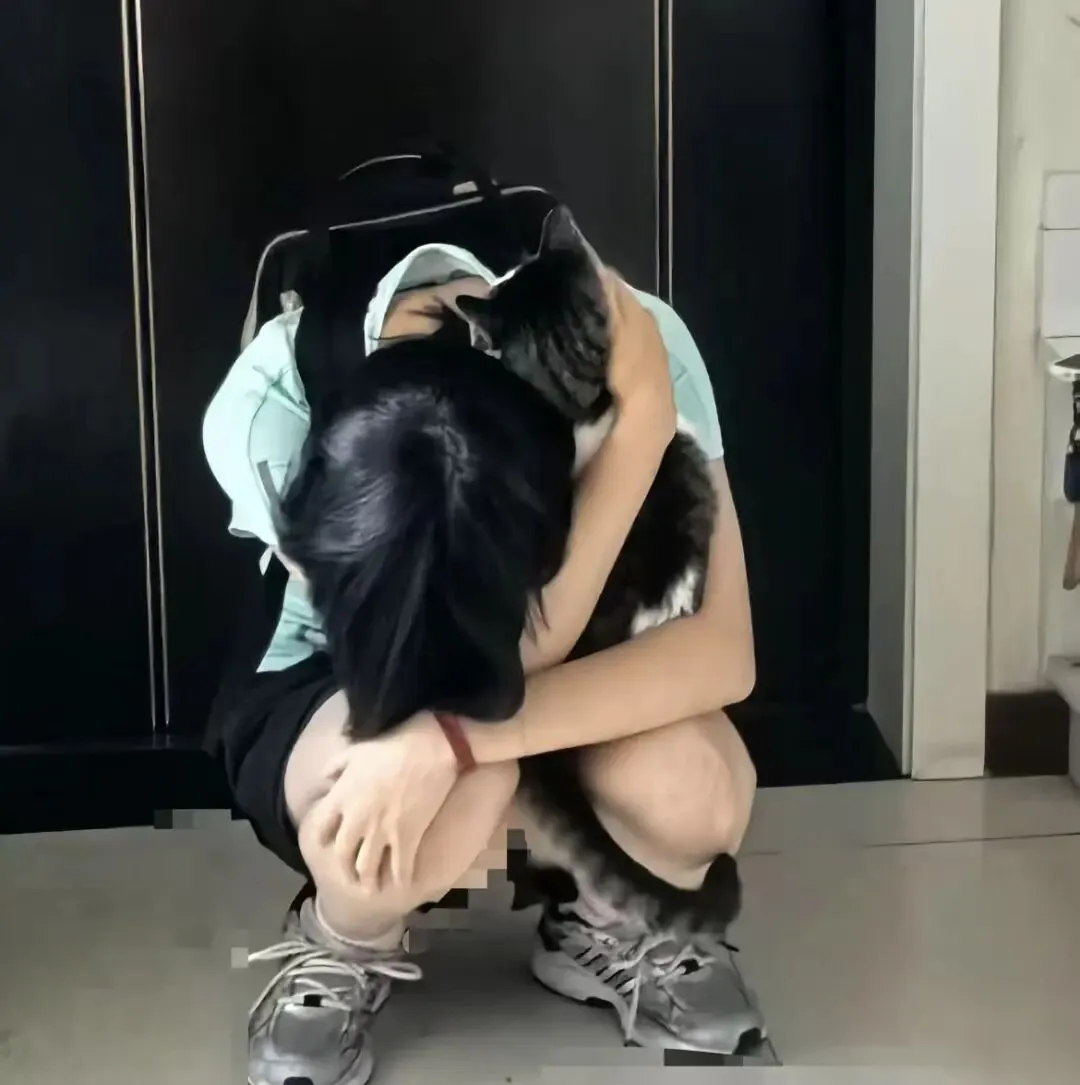 趁初三学生出去上课,爸妈把他养了4年的两只猫都扔掉了,网友:父母不懂,猫猫是解压神药啊!-第1张图片-四季读书网