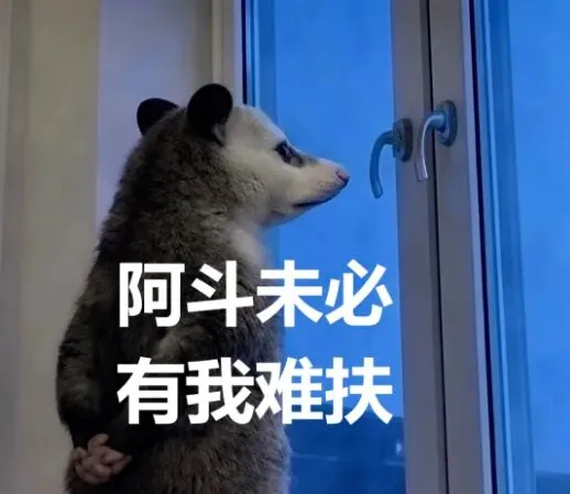 初一考年级第三,初二考年级三百多,退得轰轰烈烈,荡气回肠!-第1张图片-四季读书网