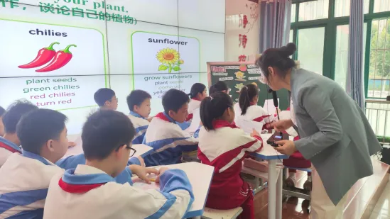 邓州市小学六年级英语试卷分析暨教学研讨会-第8张图片-四季读书网