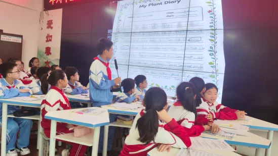 邓州市小学六年级英语试卷分析暨教学研讨会-第11张图片-四季读书网
