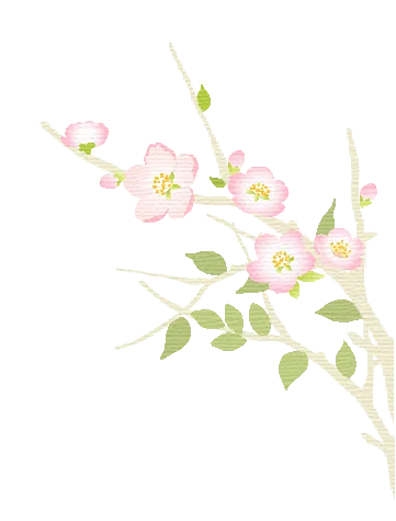 【北美高校联盟】鹤鸣文学《我的高考故事》特刊 —— 王丹萍-第4张图片-四季读书网 【北美高校联盟】鹤鸣文学《我的高考故事》特刊 —— 王丹萍-第4张图片-四季读书网