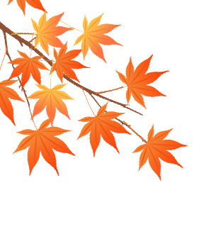 笔墨润心性 书写助中考|树人文茂中学九年级开展专项练字提质活动-第3张图片-四季读书网 笔墨润心性 书写助中考|树人文茂中学九年级开展专项练字提质活动-第3张图片-四季读书网