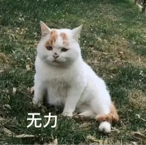 27高职高考最新考试范围已出→搭配精品班网课,系统备考,稳步提升!-第4张图片-四季读书网
