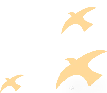 每日积累 | 真题小练—刑法-第4张图片-四季读书网 每日积累 | 真题小练—刑法-第4张图片-四季读书网
