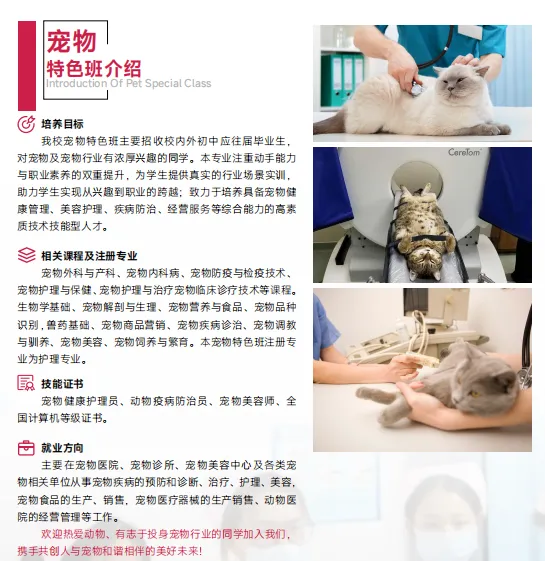 【补录中!】2026初三毕业生可报广州自主招生院校--广州涉外经济职业技术学院附属中职学校招生简章(可预约到校参观报名)-第15张图片-四季读书网