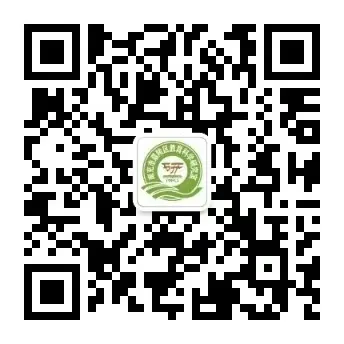 聚焦中考改革 情系一线课堂——嘉陵区教研室赴陈寿中学、安福小学开展毕业班教学视导-第18张图片-四季读书网 聚焦中考改革 情系一线课堂——嘉陵区教研室赴陈寿中学、安福小学开展毕业班教学视导-第18张图片-四季读书网
