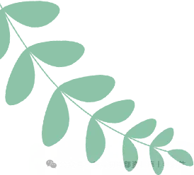 初一生物上册第一章【认识生物】最全必考知识点汇总|零基础吃透全篇-第8张图片-四季读书网