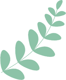 初一生物上册第一章【认识生物】最全必考知识点汇总|零基础吃透全篇-第9张图片-四季读书网