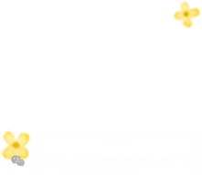 初一生物上册第一章【认识生物】最全必考知识点汇总|零基础吃透全篇-第14张图片-四季读书网