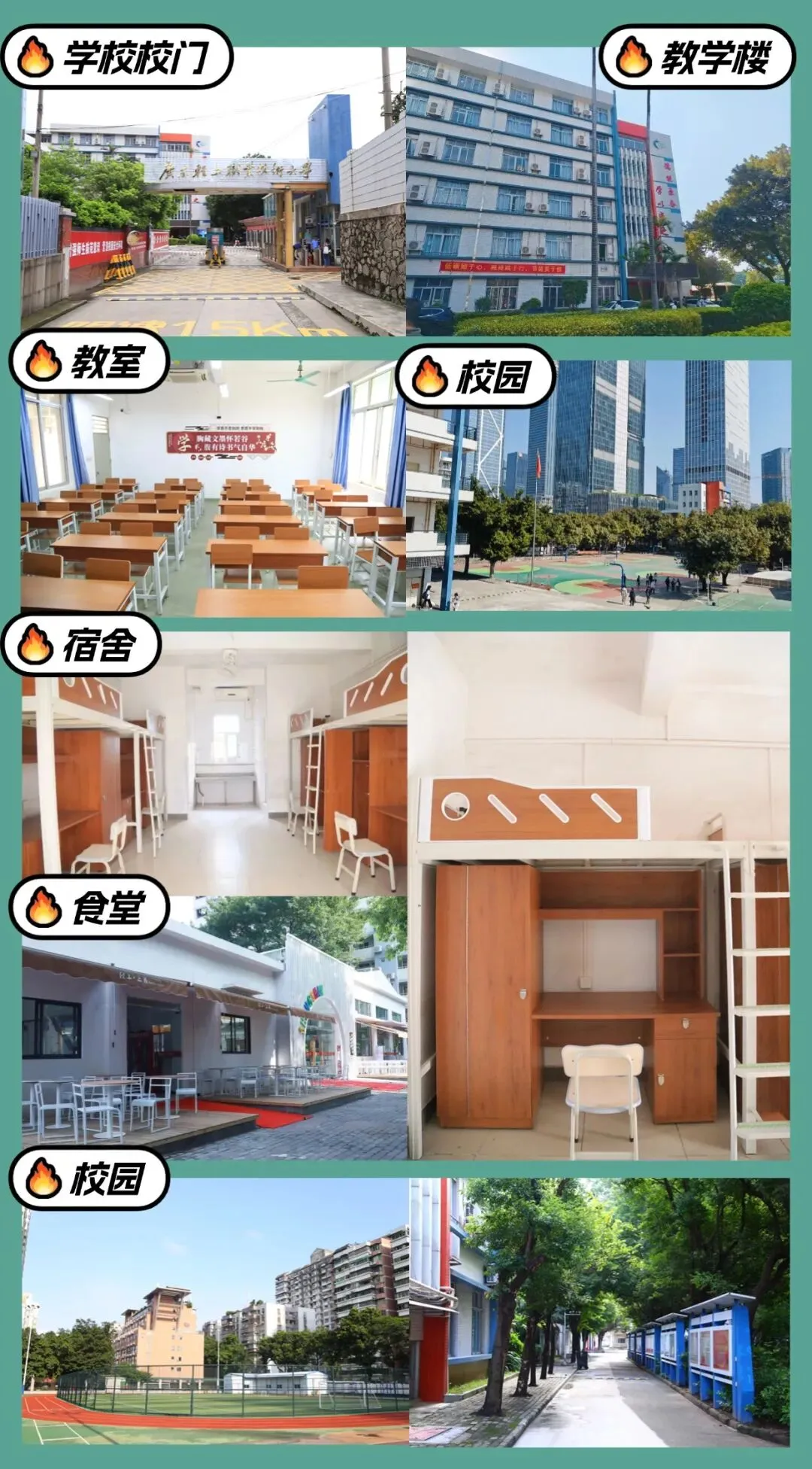 还可以报名!高职高考10月辅导班怎么选?来广轻大公办本科校内学习!-第11张图片-四季读书网 还可以报名!高职高考10月辅导班怎么选?来广轻大公办本科校内学习!-第11张图片-四季读书网