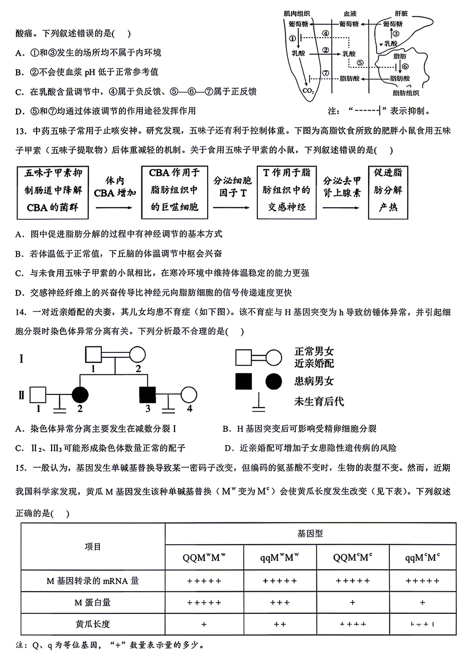 2026年6月重庆高考生物试卷和参考答案-第4张图片-四季读书网 2026年6月重庆高考生物试卷和参考答案-第4张图片-四季读书网