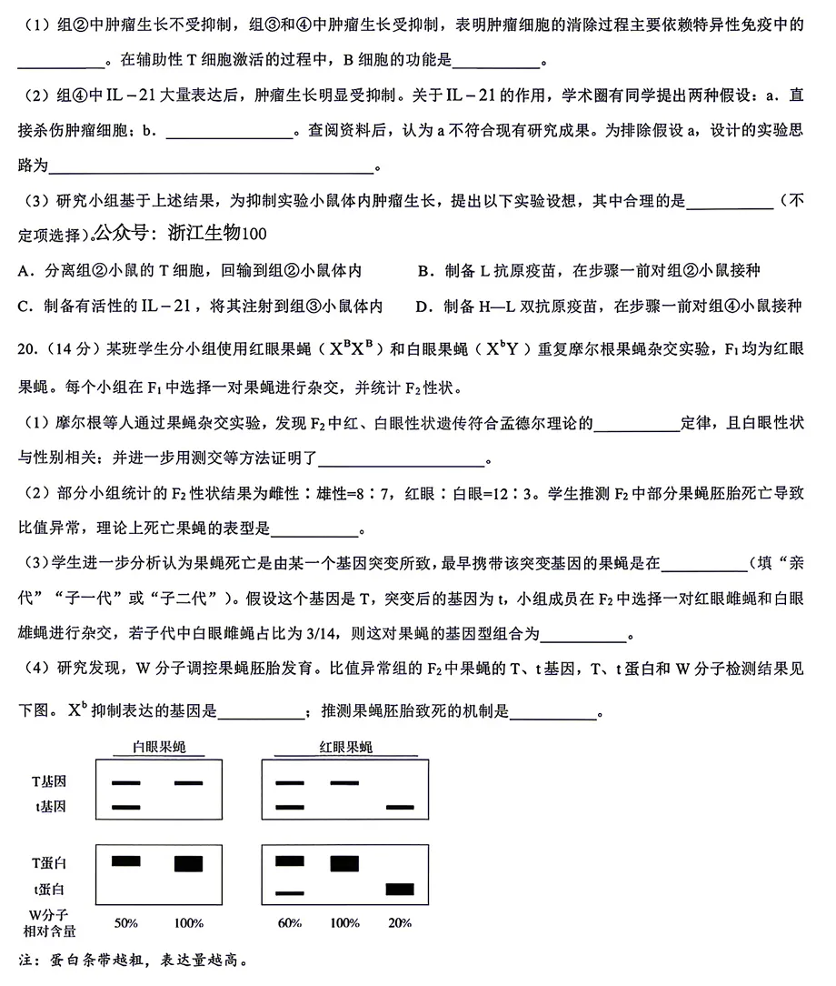 2026年6月重庆高考生物试卷和参考答案-第8张图片-四季读书网 2026年6月重庆高考生物试卷和参考答案-第8张图片-四季读书网