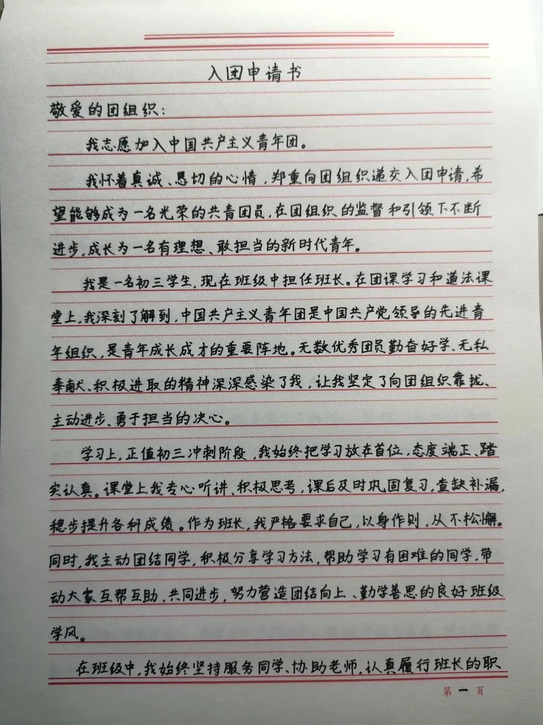初三这一年(7):退休妈妈和儿子一起写入团申请书-第1张图片-四季读书网