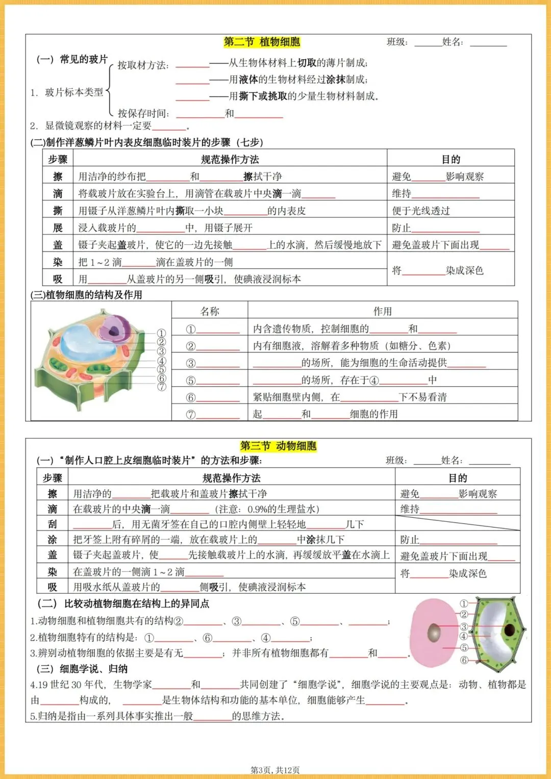 初一生物|2026秋(人教版)七年级上册生物全册核心知识点总结(背诵版+默写版),电子版可打印!-第3张图片-四季读书网