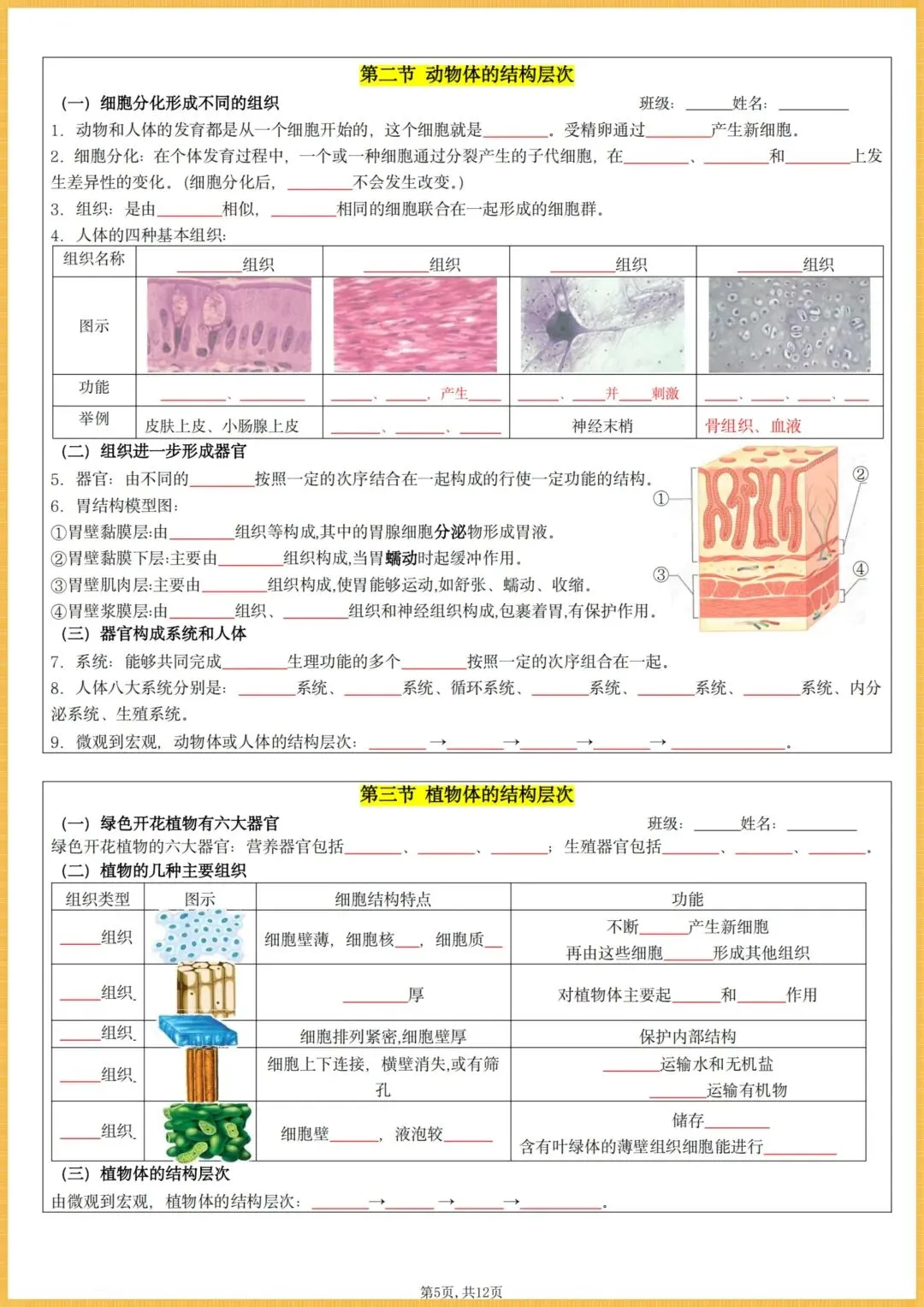 初一生物|2026秋(人教版)七年级上册生物全册核心知识点总结(背诵版+默写版),电子版可打印!-第5张图片-四季读书网