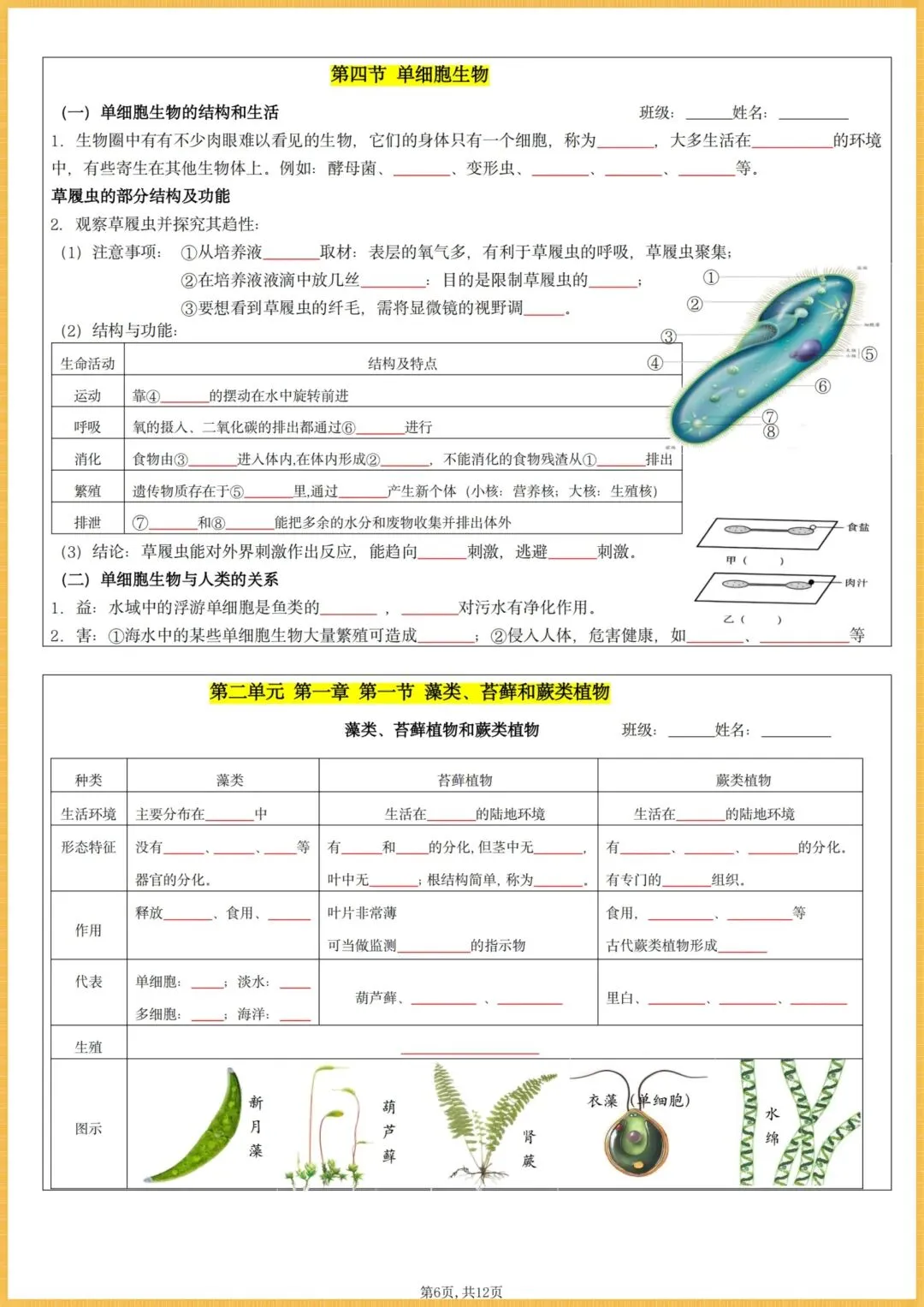 初一生物|2026秋(人教版)七年级上册生物全册核心知识点总结(背诵版+默写版),电子版可打印!-第6张图片-四季读书网