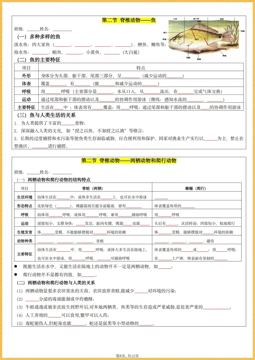 初一生物|2026秋(人教版)七年级上册生物全册核心知识点总结(背诵版+默写版),电子版可打印!-第8张图片-四季读书网