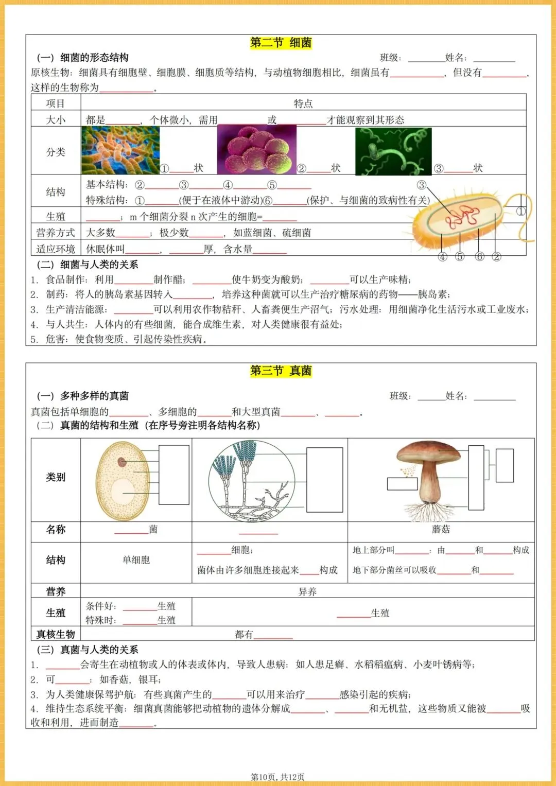 初一生物|2026秋(人教版)七年级上册生物全册核心知识点总结(背诵版+默写版),电子版可打印!-第10张图片-四季读书网