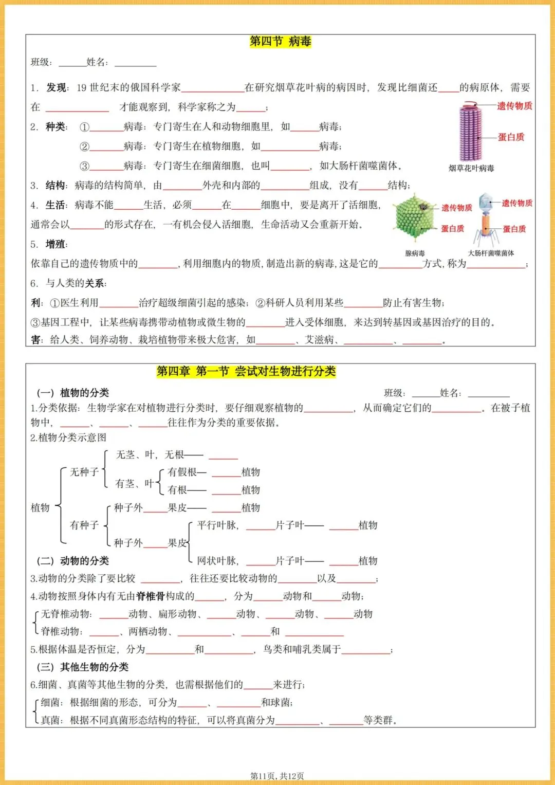初一生物|2026秋(人教版)七年级上册生物全册核心知识点总结(背诵版+默写版),电子版可打印!-第11张图片-四季读书网