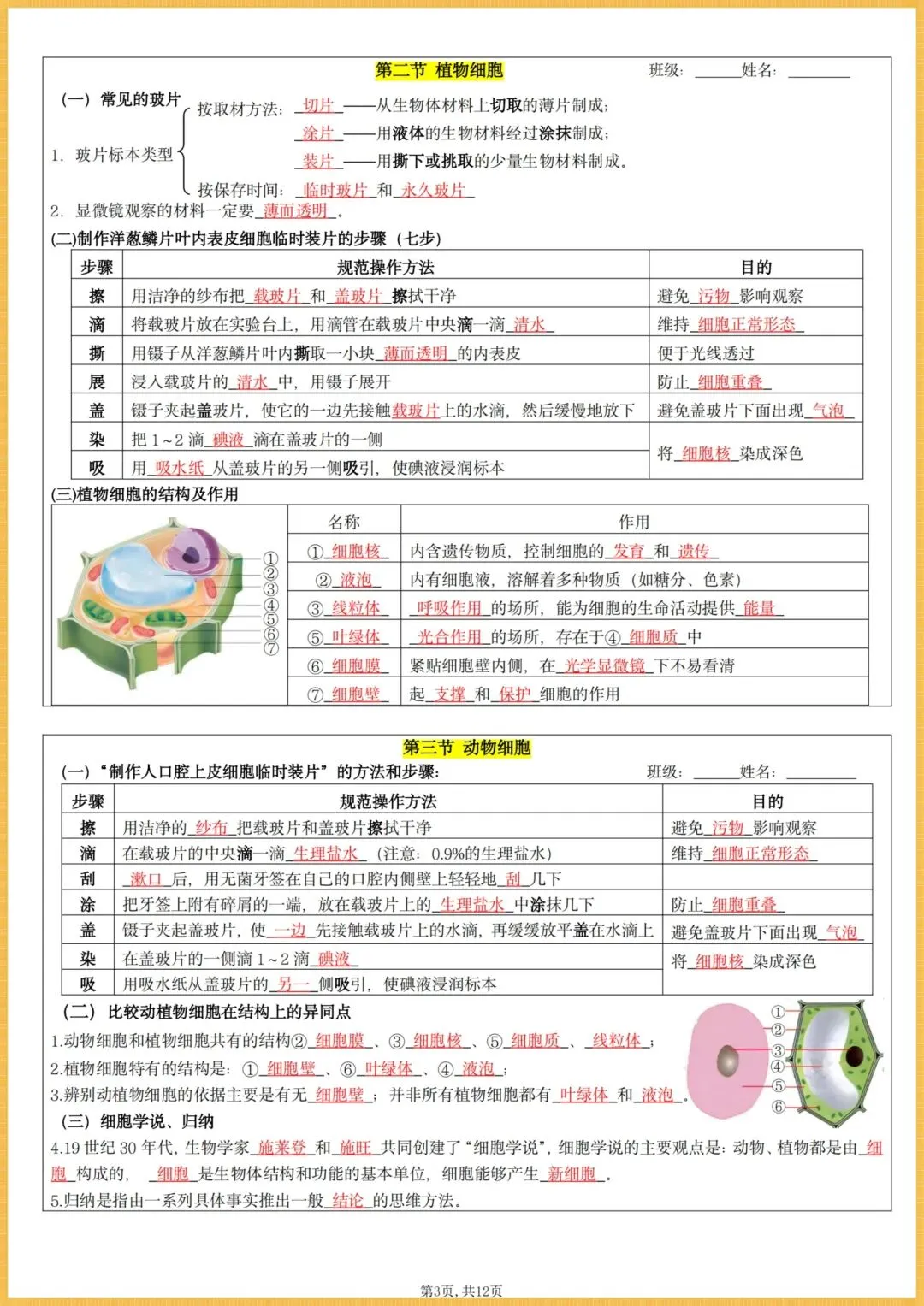 初一生物|2026秋(人教版)七年级上册生物全册核心知识点总结(背诵版+默写版),电子版可打印!-第14张图片-四季读书网