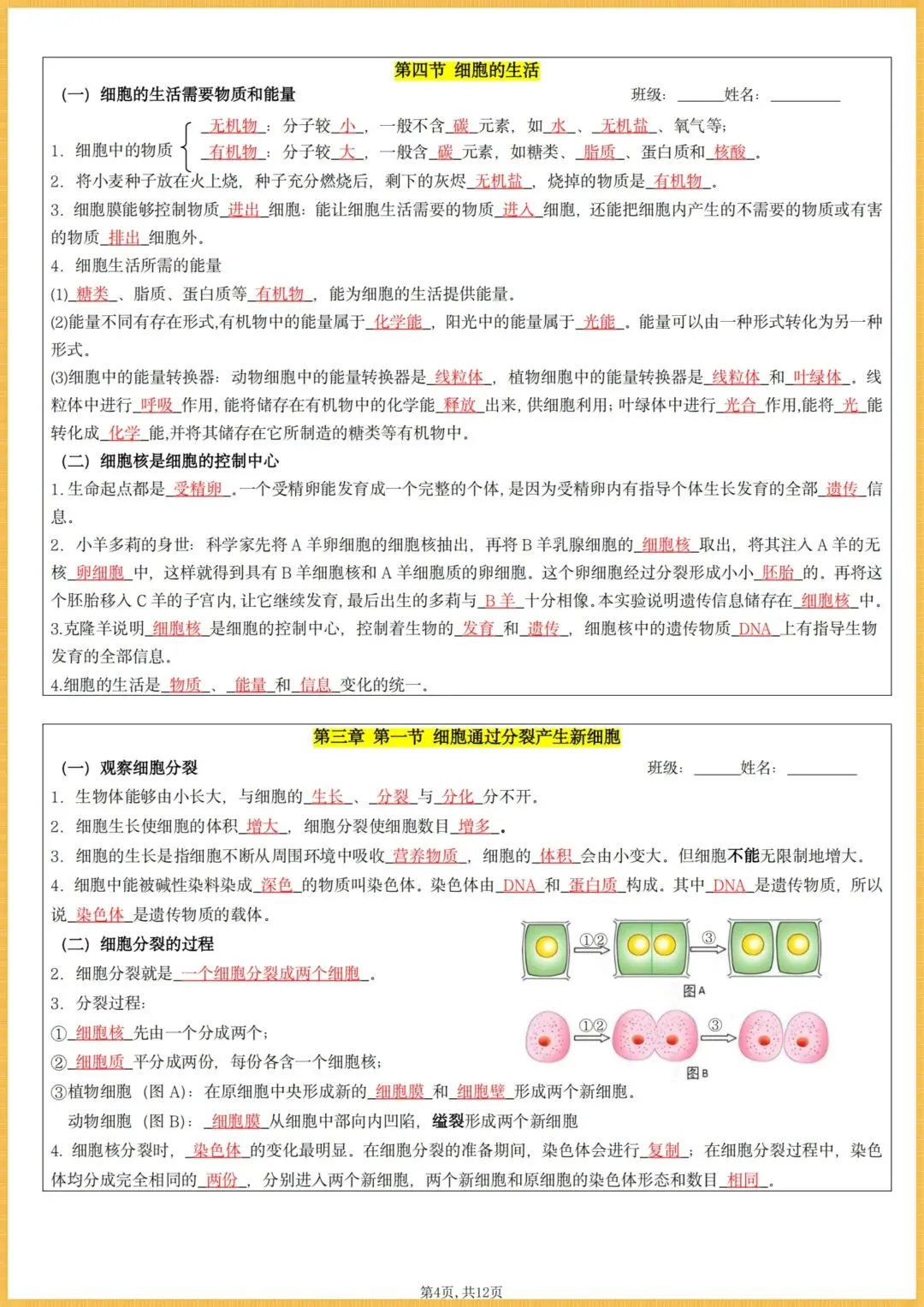 初一生物|2026秋(人教版)七年级上册生物全册核心知识点总结(背诵版+默写版),电子版可打印!-第15张图片-四季读书网