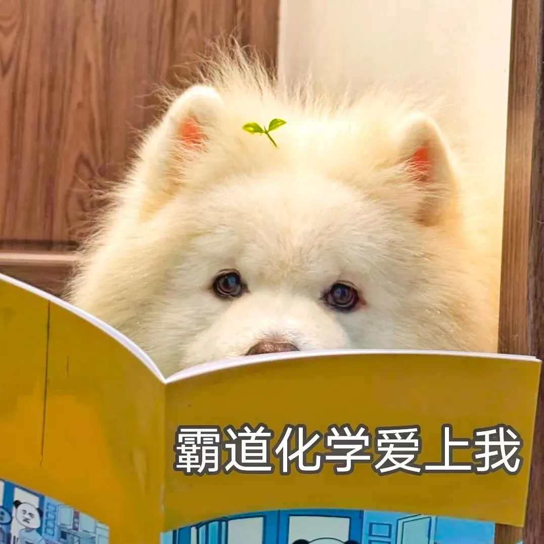 初三化学入门全攻略,零基础也能轻松学化学!-第6张图片-四季读书网