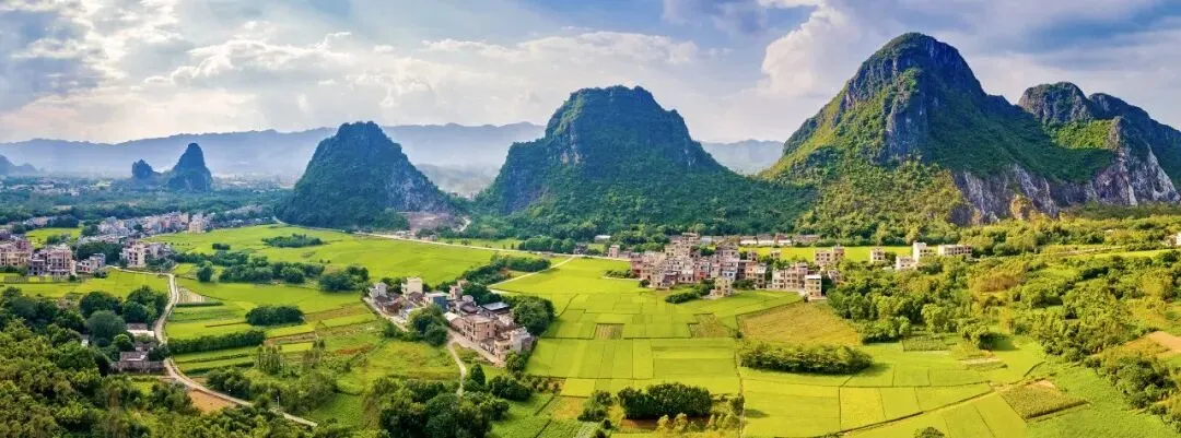 阳春经济“期中考”成绩稳居阳江各县(市、区)前列-第12张图片-四季读书网