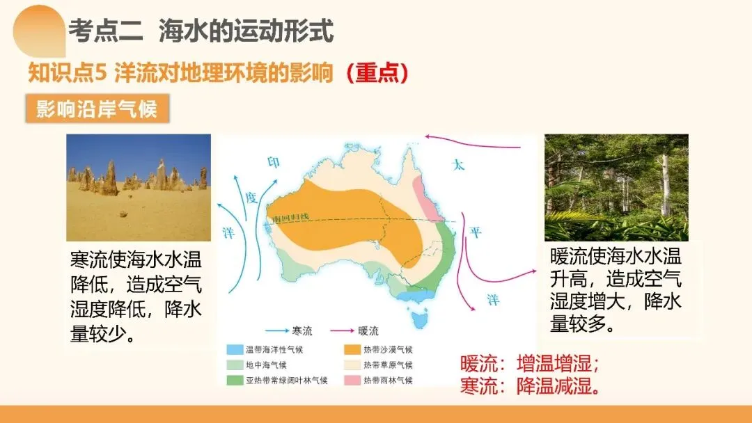2027年高考地理一轮复习第11讲 海水的性质和海水的运动(课件)(新教材新)海水运动不是“背洋流”,真正要掌握的是背后的逻辑-第35张图片-四季读书网