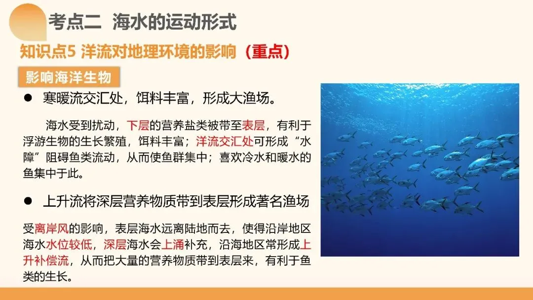 2027年高考地理一轮复习第11讲 海水的性质和海水的运动(课件)(新教材新)海水运动不是“背洋流”,真正要掌握的是背后的逻辑-第39张图片-四季读书网