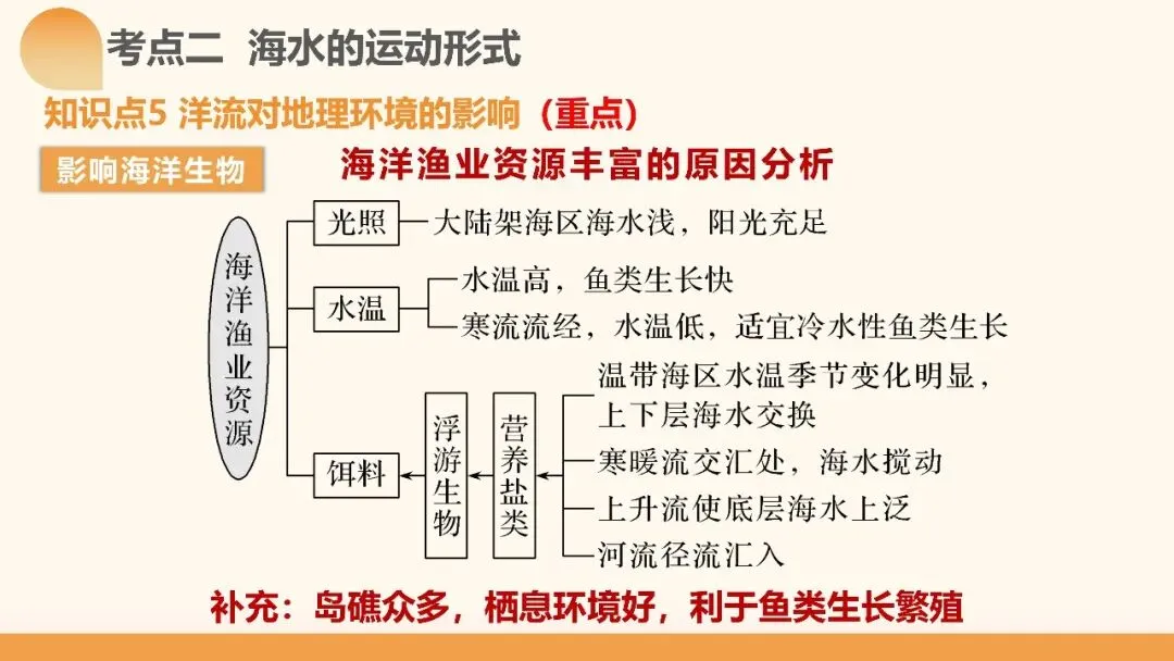 2027年高考地理一轮复习第11讲 海水的性质和海水的运动(课件)(新教材新)海水运动不是“背洋流”,真正要掌握的是背后的逻辑-第40张图片-四季读书网